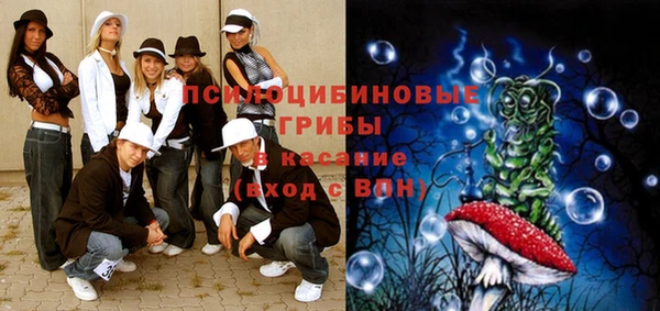 твердый Армянск
