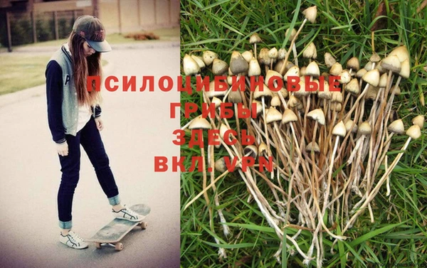герыч Аркадак
